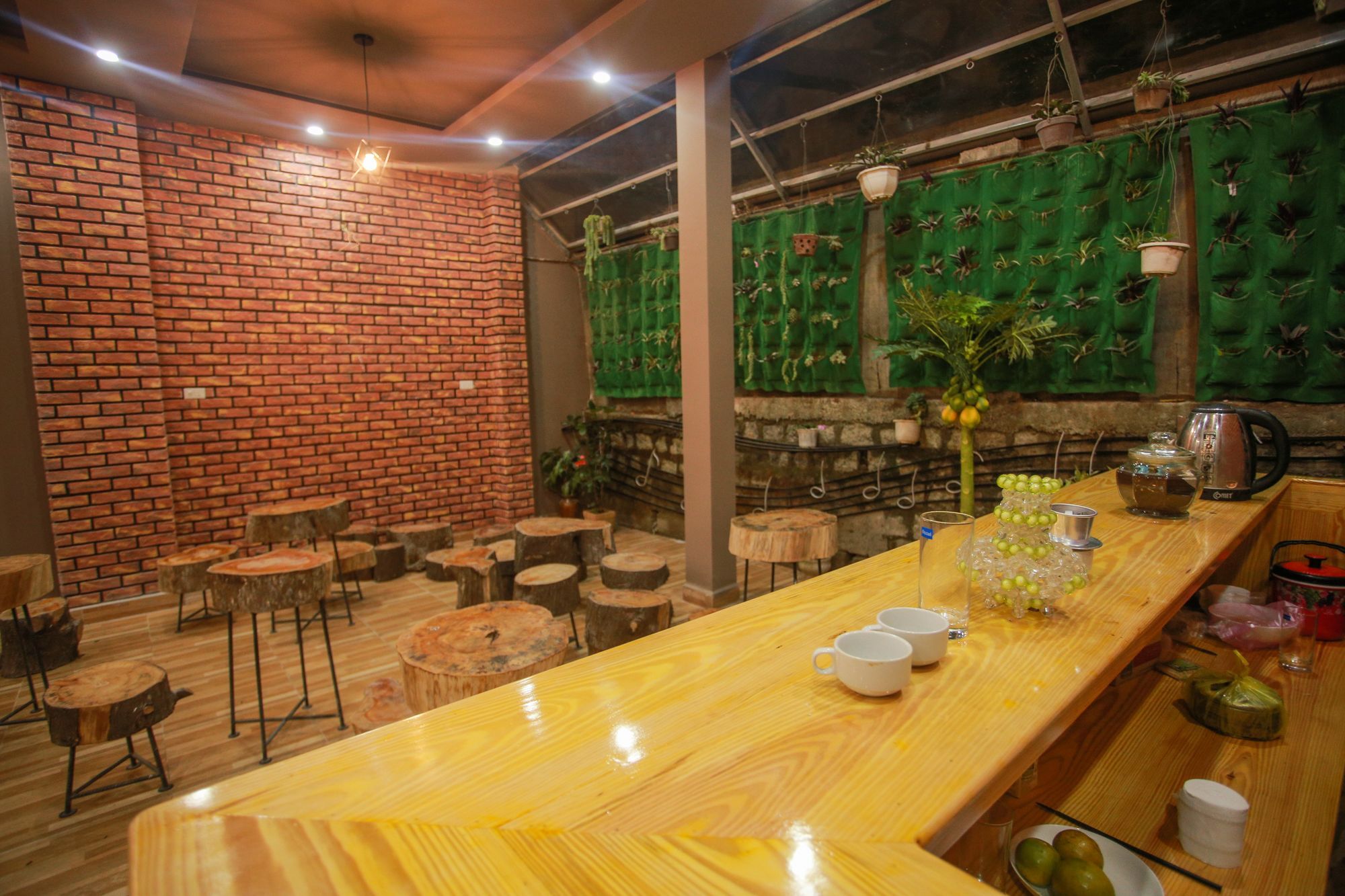 Spider Hostel Đà Lạt Extérieur photo