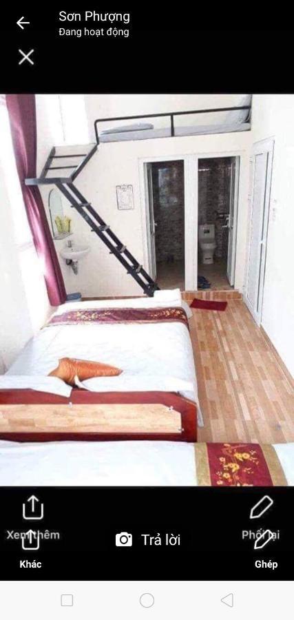 Spider Hostel Đà Lạt Extérieur photo